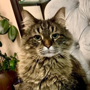 Meet your Posher, Sheila